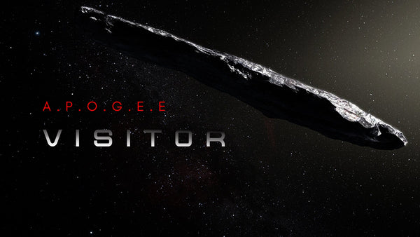 A visitor from interstellar space.