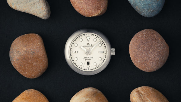 Case Shaped Like a Pebble